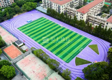 Hangzhou Dinglan Experimental Middle School (China's first purple runway)
